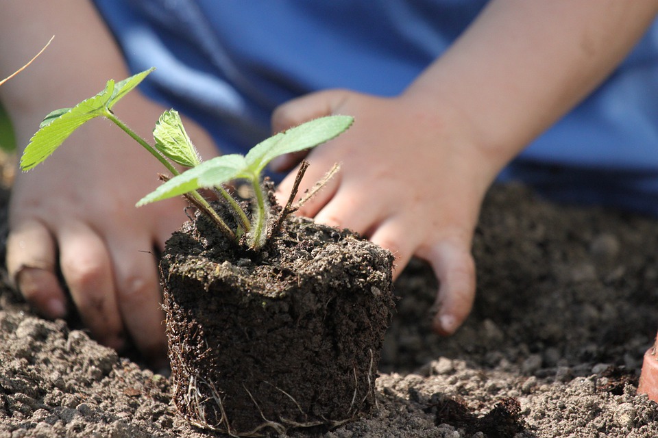 child learning about gardening