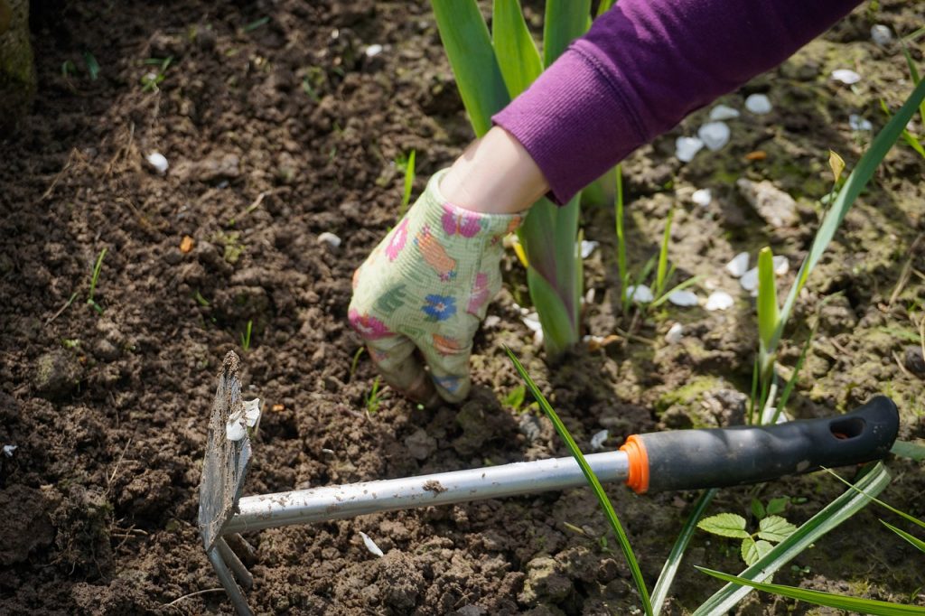 weeds will grow!