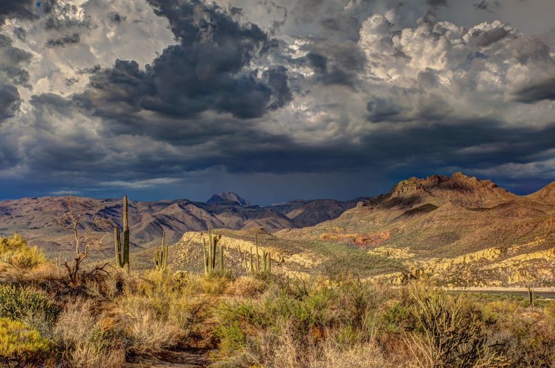 arizona mountains and saguaro cactus under a cloudy sky