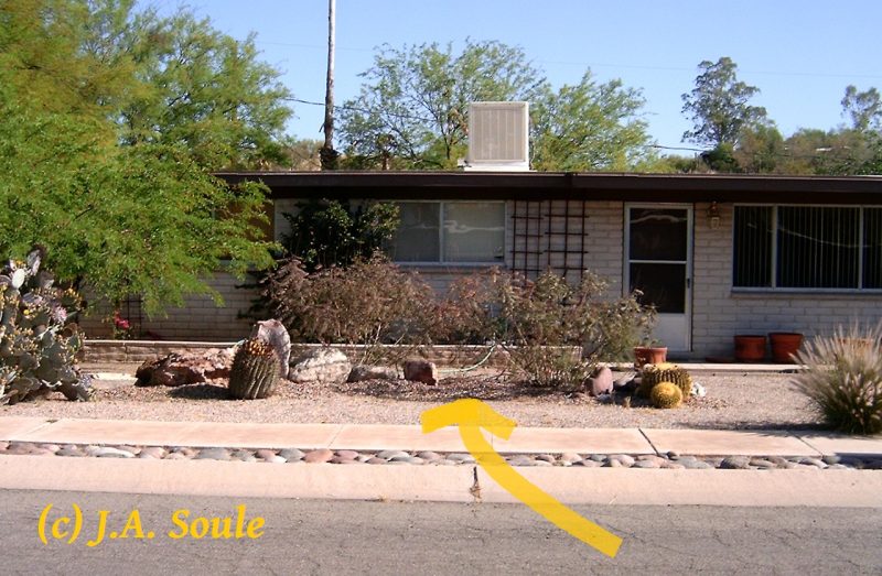 security through landscaping shrubs done correctly