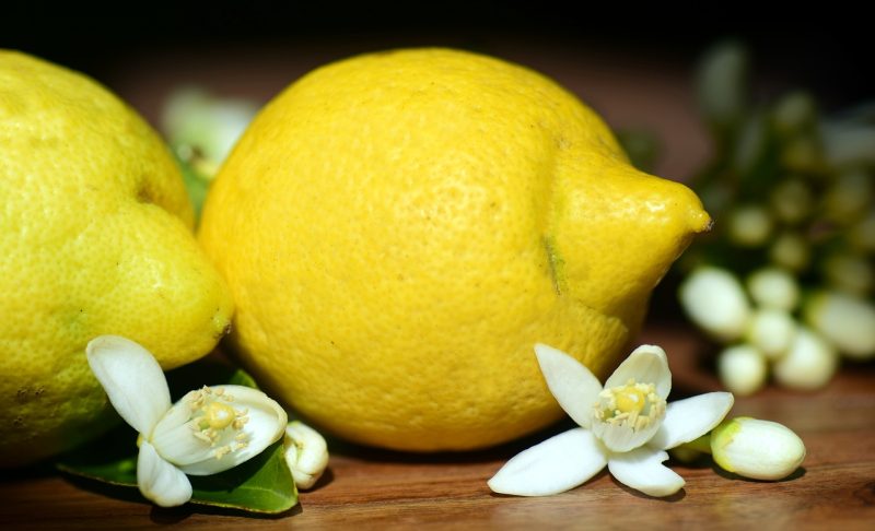 lisbon lemon with it's distinctive nose