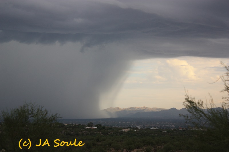 rain over tucson valley copyright gardening with soule