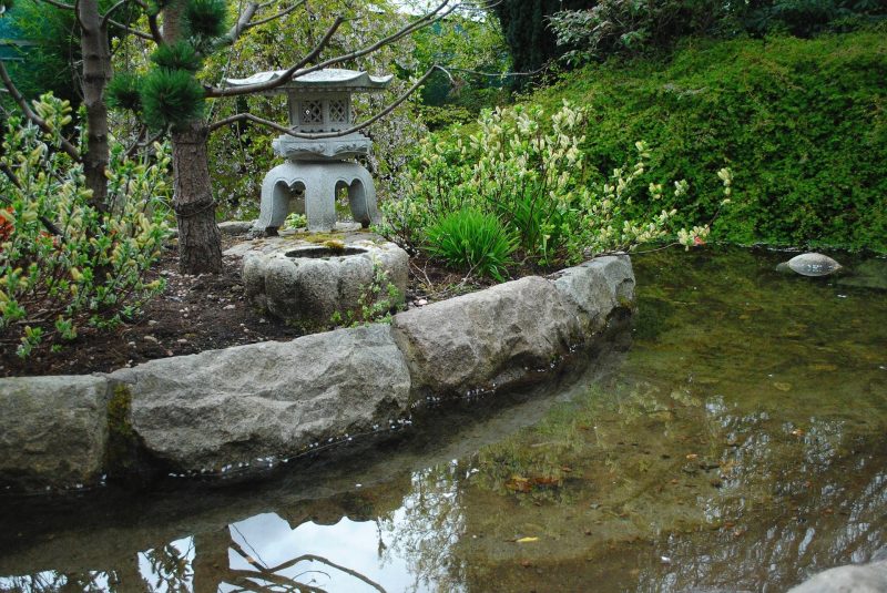 oriental garden