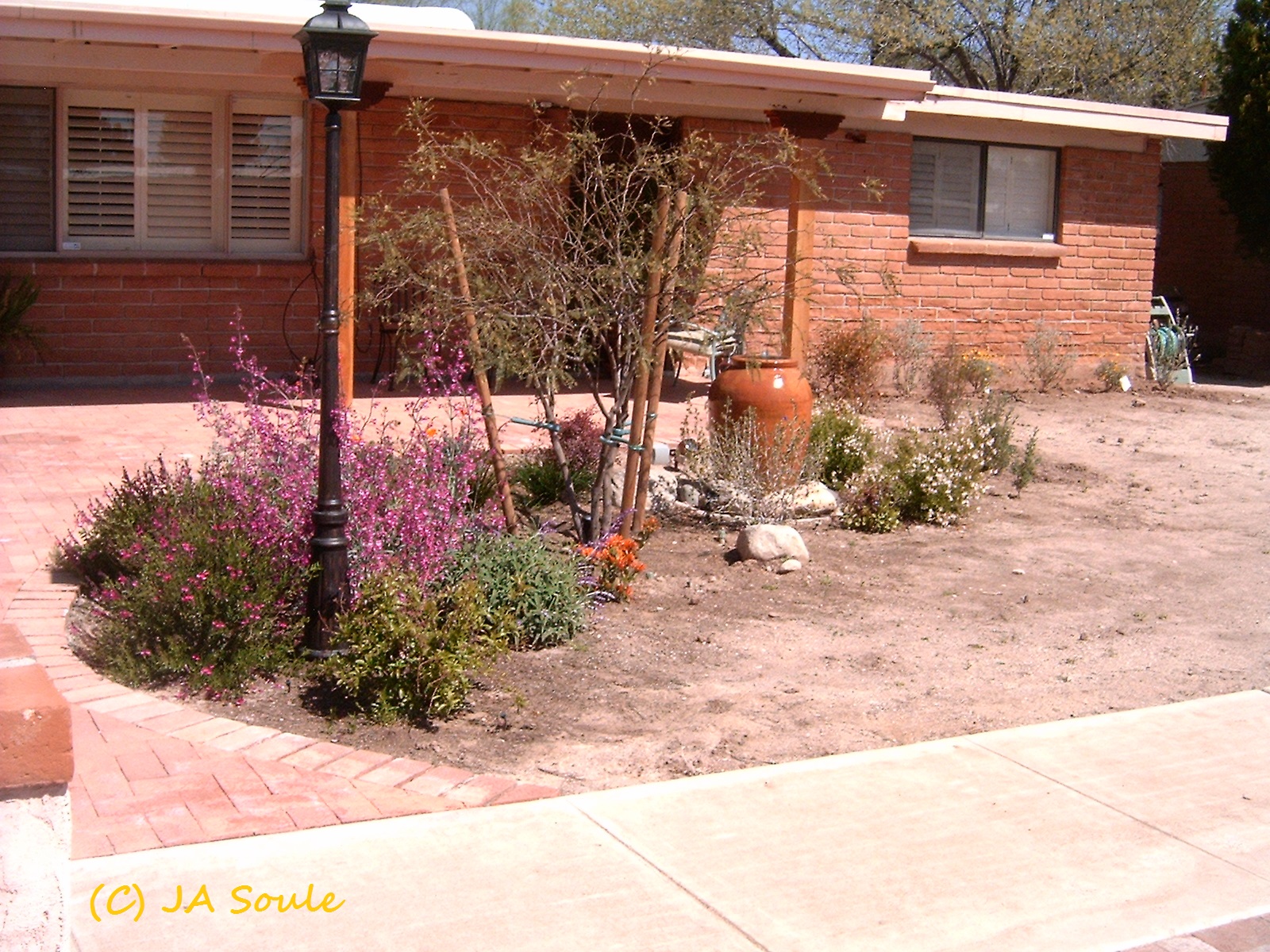 security through landscaping done correctly